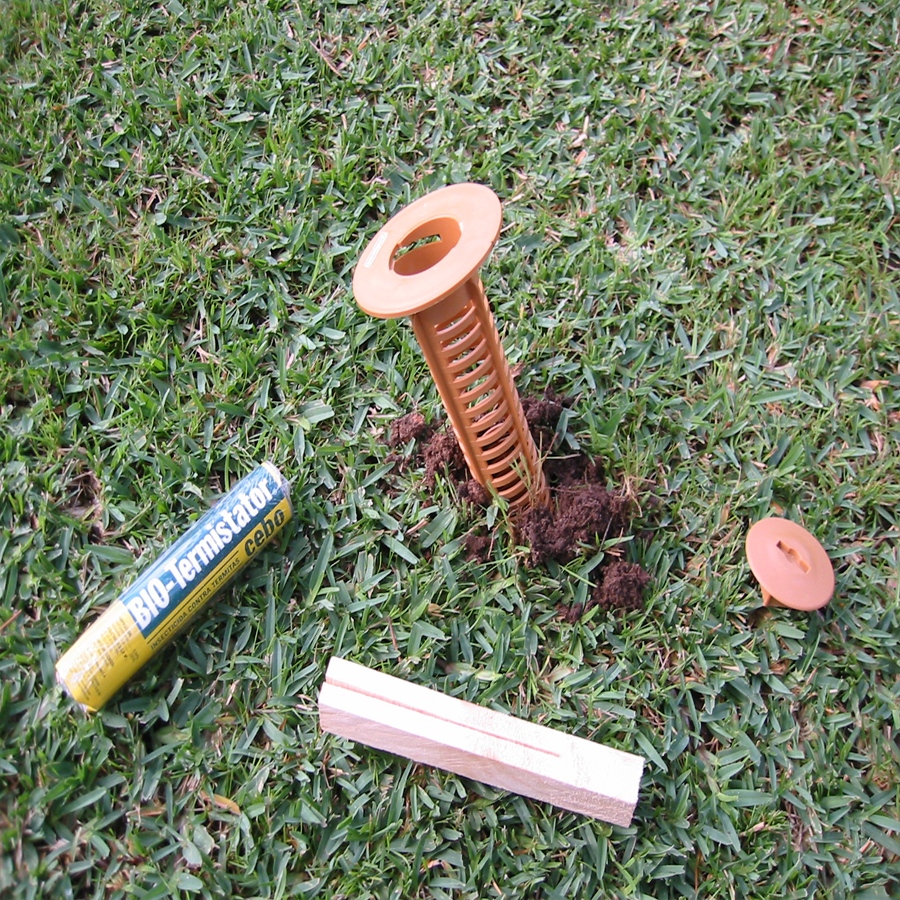 Before image